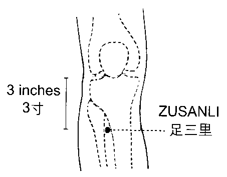 Resultado de imagen para zusanli 36 e