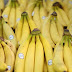 Why Bananas Are Going Extinct 