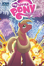 My Little Pony Friendship is Magic #10 Comic Cover B Variant