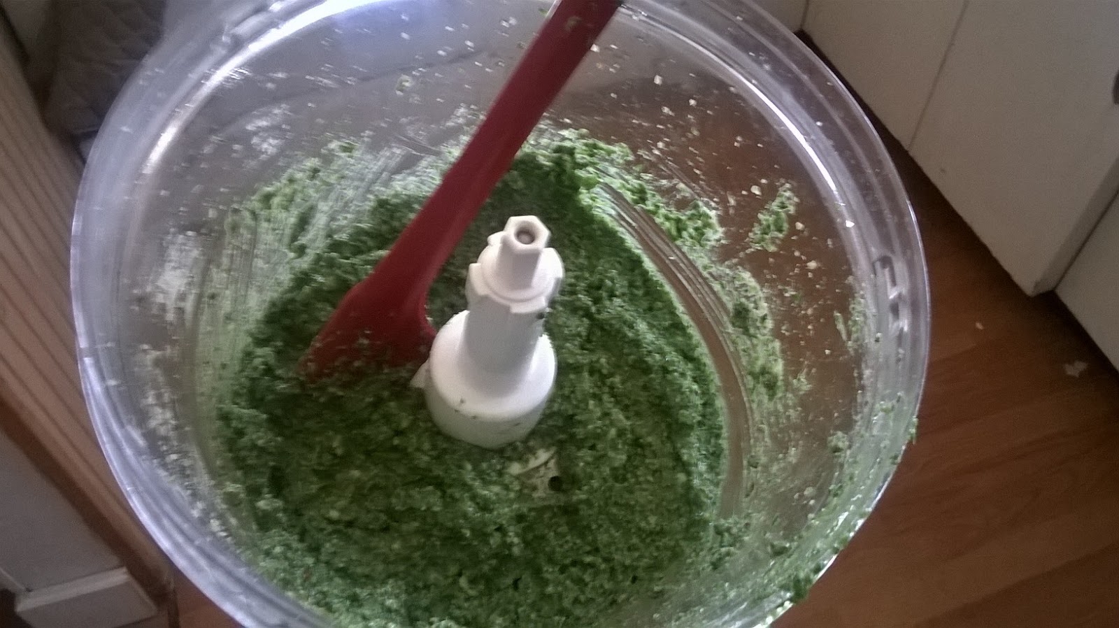 The Traveling Mandolin Foraging Stinging Nettle and Garlic Mustard