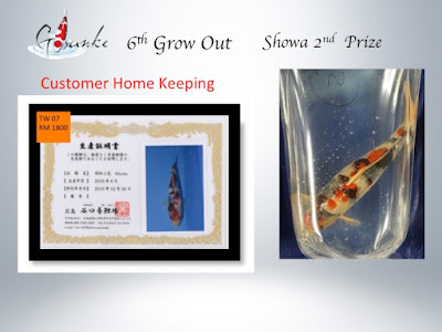 koi-pond-accessories-south-africa-3.jpg koi-pond-accessories-south-africa-3.jpg