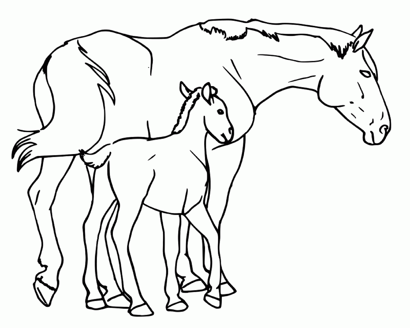 Coloring Pages Colouring Pages Coloring Books: Mare And Foal