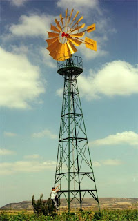 Laura Cristina: 3 PERIODO