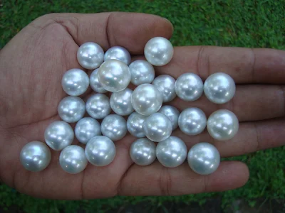 Loose white sea pearls round semi round grade A quality