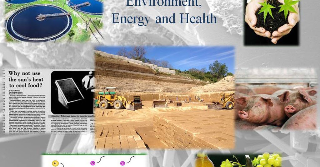 Pure Liquid Zeolite Role of Zeolite in Removing Toxic Metal from Body