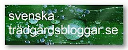 Svenske havebloggere