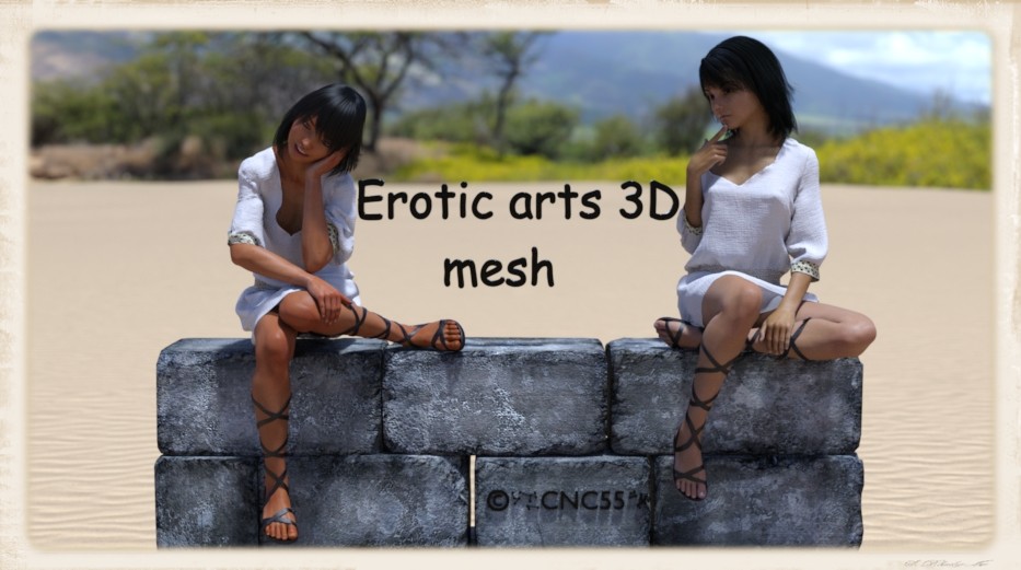 Erotic arts 3D mesh