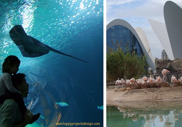 Oceanográfic en Valencia