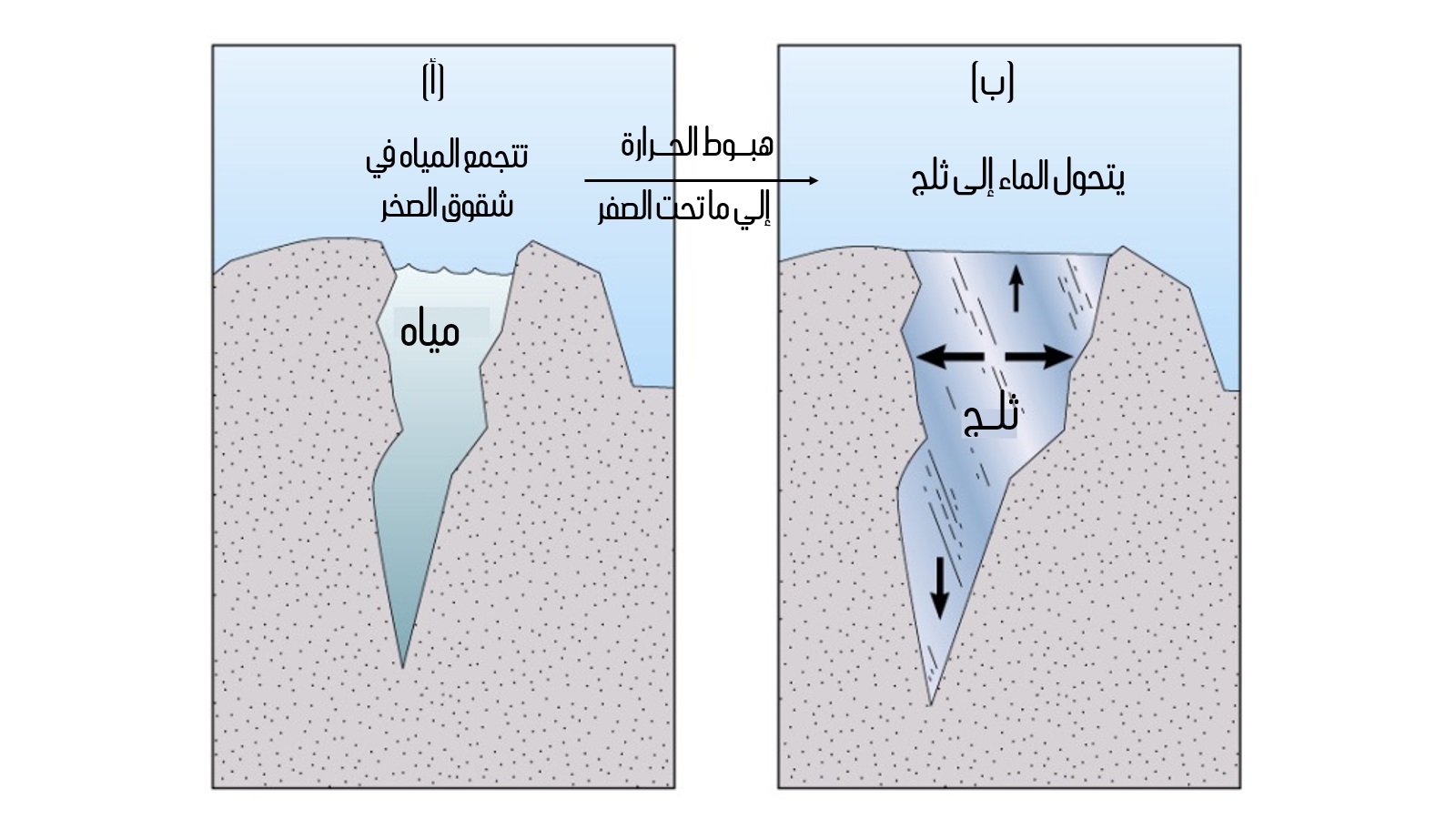 من العوامل التي تسبب التجوية الكيميائية