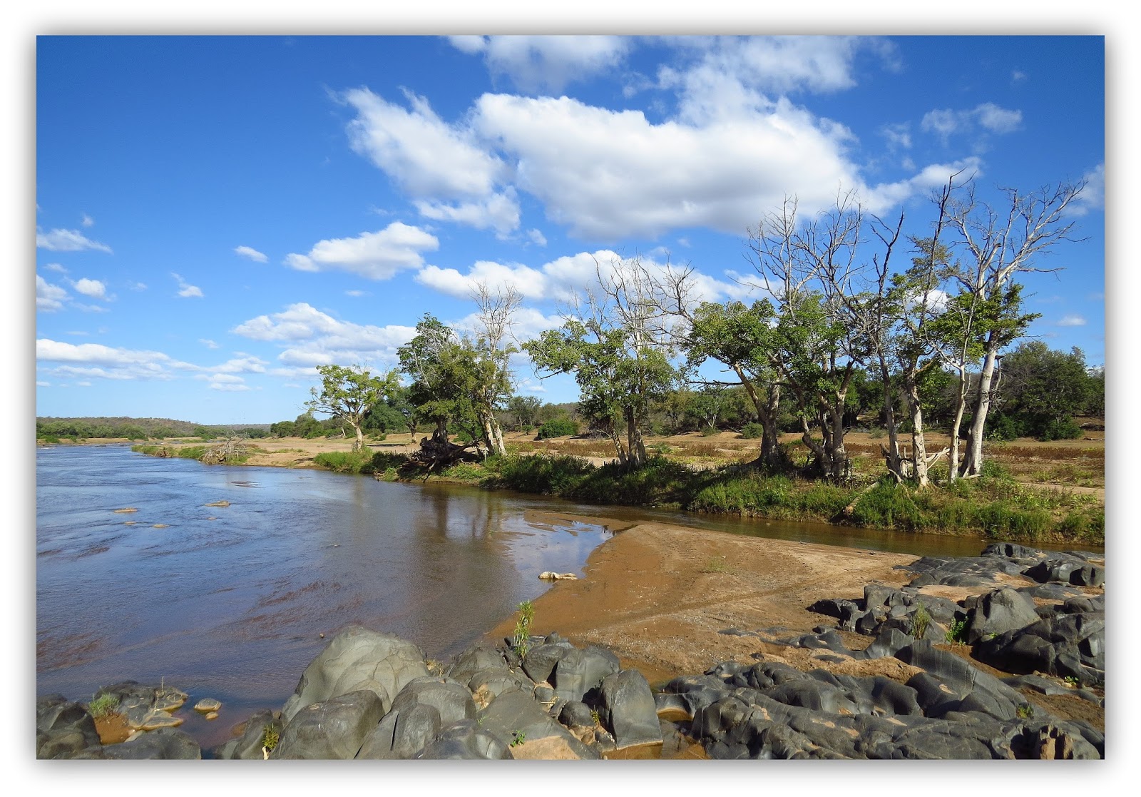 Murder is Everywhere Olifants River Game Reserve Revisited