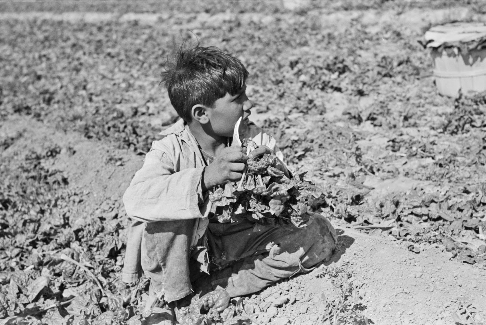 History in Photos Russell Lee