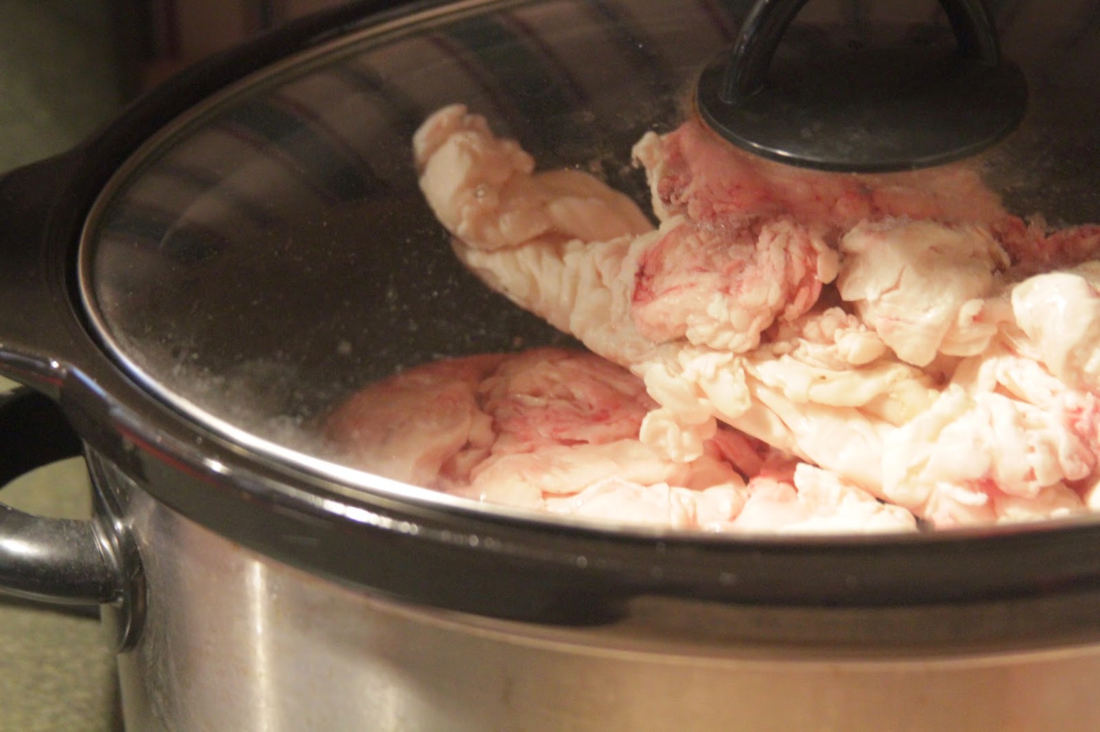 Song of Our Heritage Rendering Suet