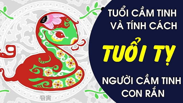 Giải mã tính cách và tài năng người tuổi Tỵ: Trí tuệ bẩm sinh, nhưng vô cùng khó đoán