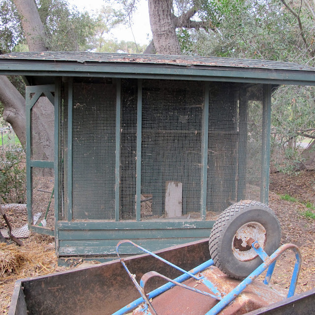 Chickens 101 It All Starts With The Coop Or The Glamorous History Of