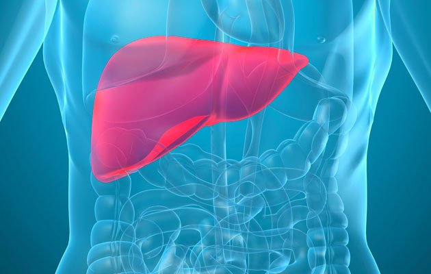 Foods that Cleanse the Liver - Learn Something New
