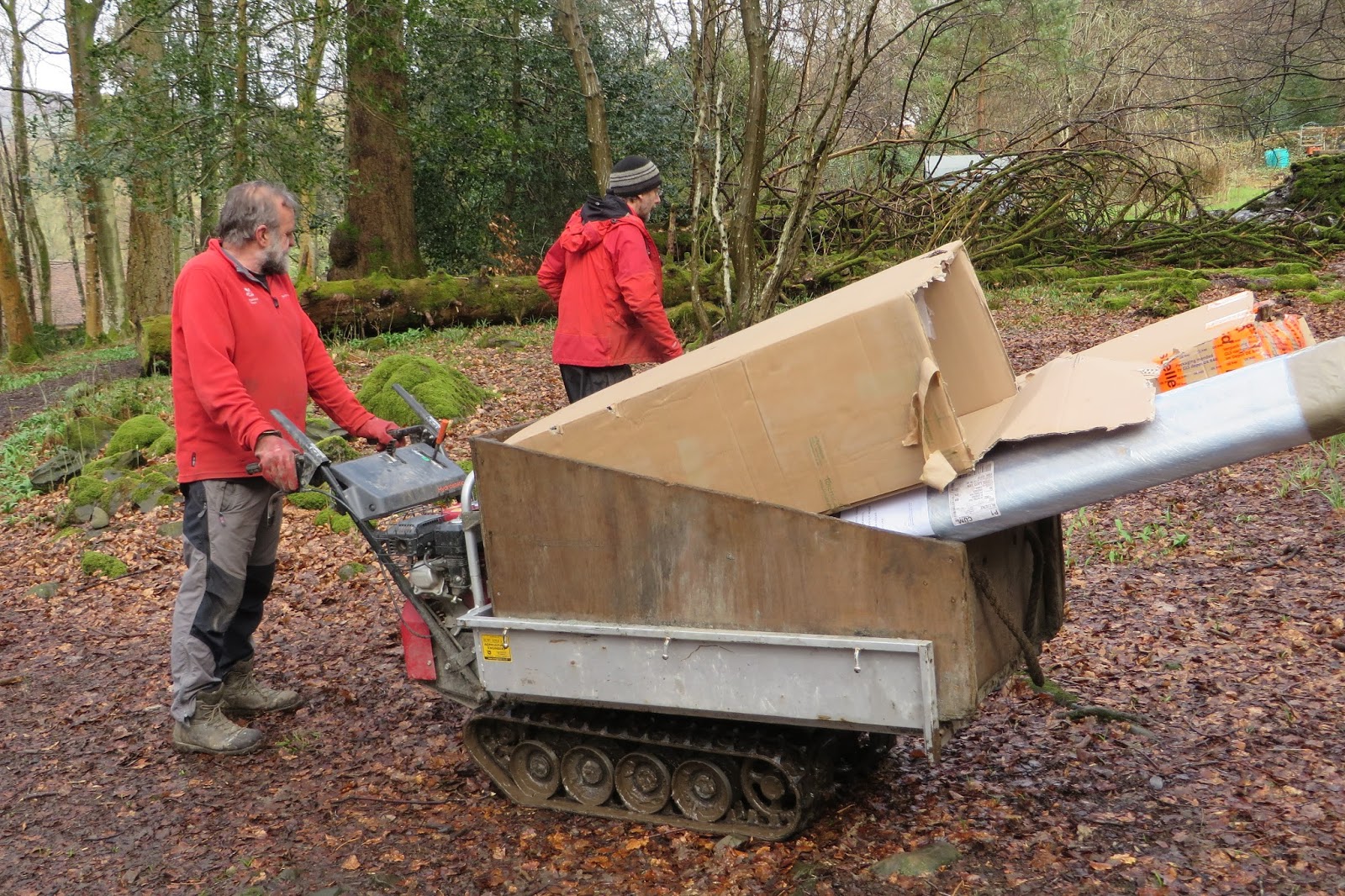 The Nature Of Robertson Prunus Glandulosa Sinensis Double