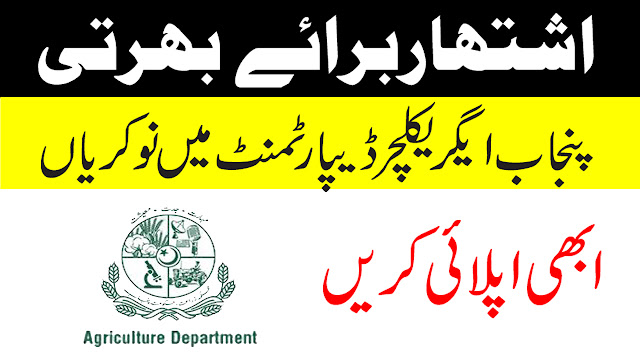 Jobs in government of Punjab agriculture department 2019