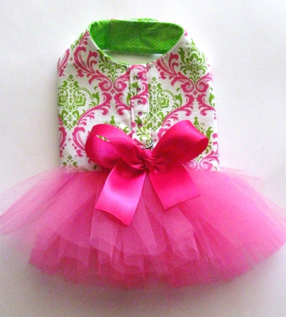 JillyBean's Doggie Boutique The CUTEST Dresses EVER!!!