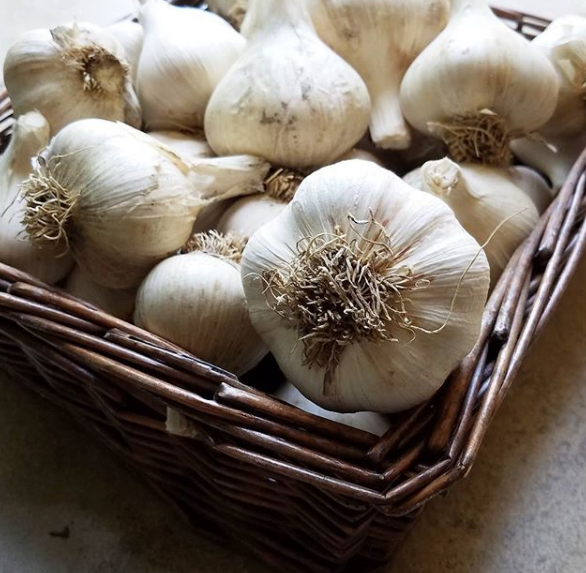 5 Tips to Keep your Chickens MiteFree Naturally Fresh Eggs Daily® with Lisa Steele