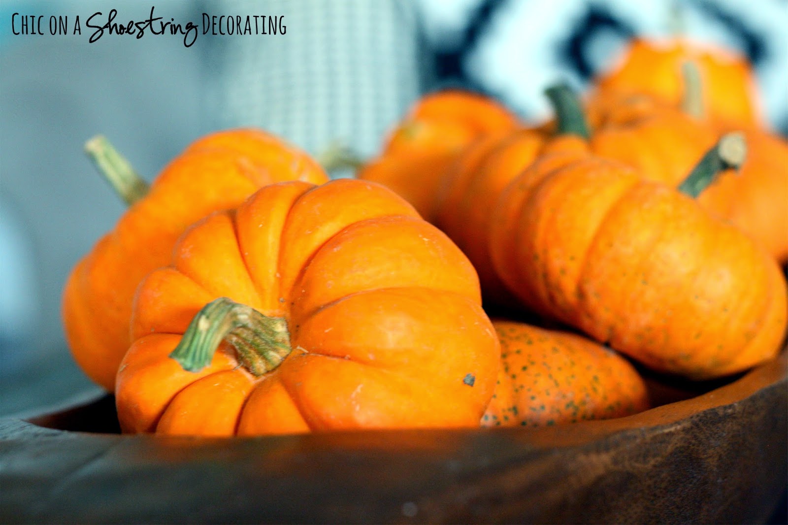 Chic on a Shoestring Decorating Black & Orange Fall Decor