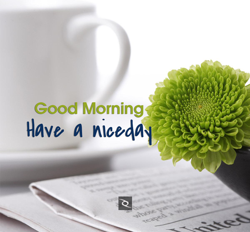 good morning have a