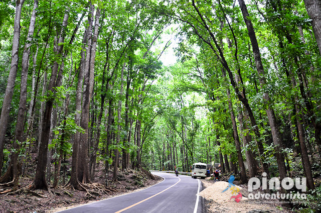 Things to do in Bohol Tourist Spots