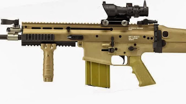 Senjata DMR: Pengertian, Jenis dan Kegunaannya dalam Berbagai Situasi