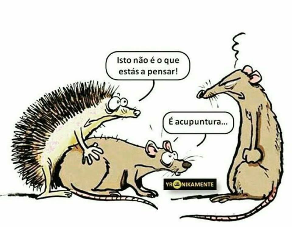 Piada Da Festa Dos Animais LIBRAIN