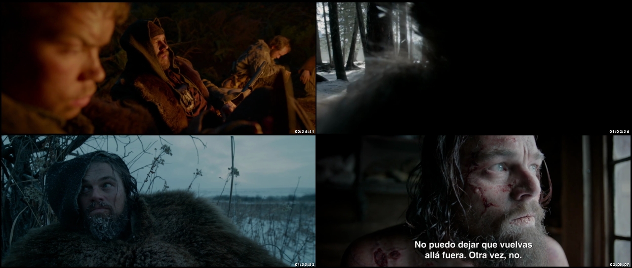 The Revenant 2015