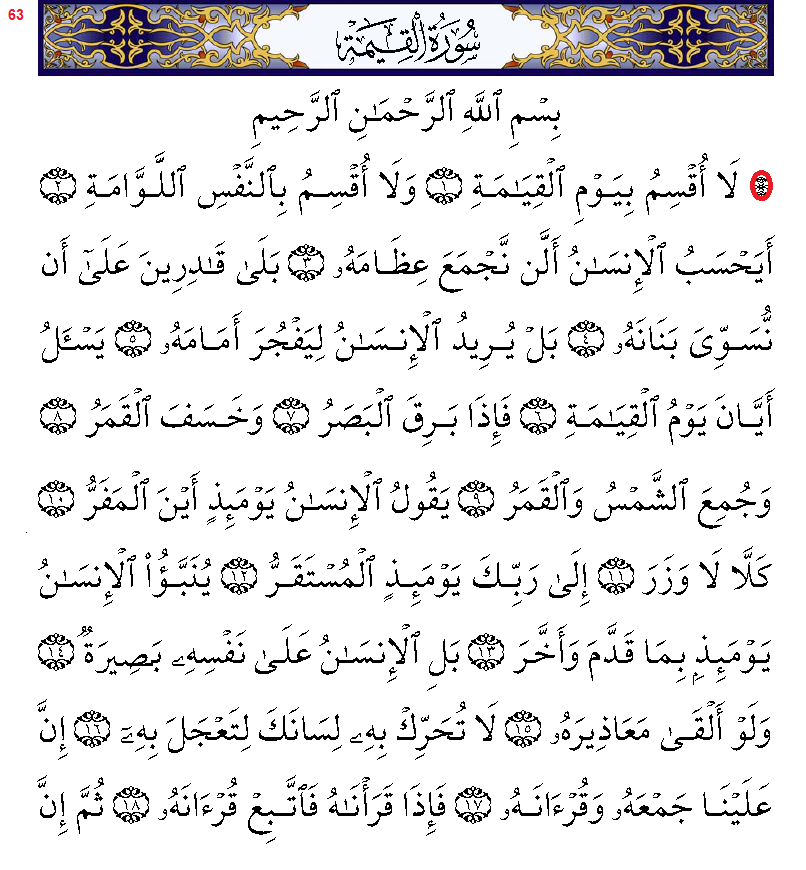 سورة القيامة مكتوبة كاملة