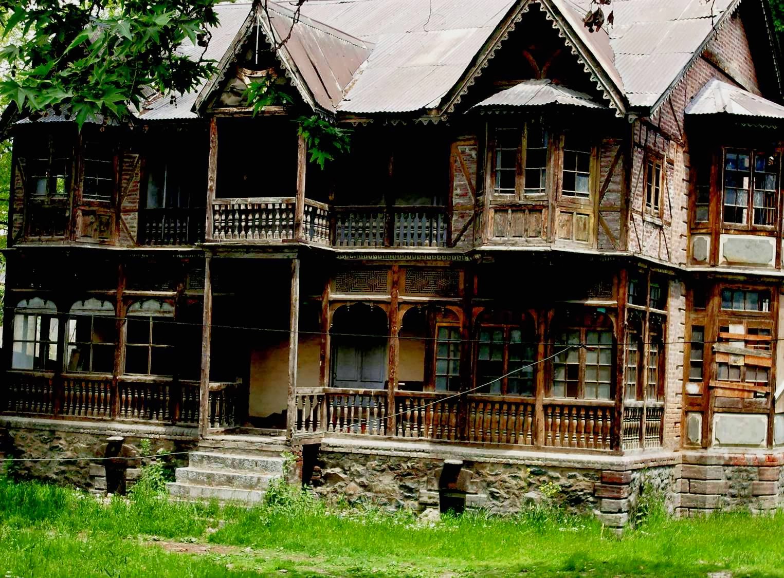 CHINAR SHADE WHEN THE CROW ASKED THE WIND TO MOVE IN AND ENQUIRE