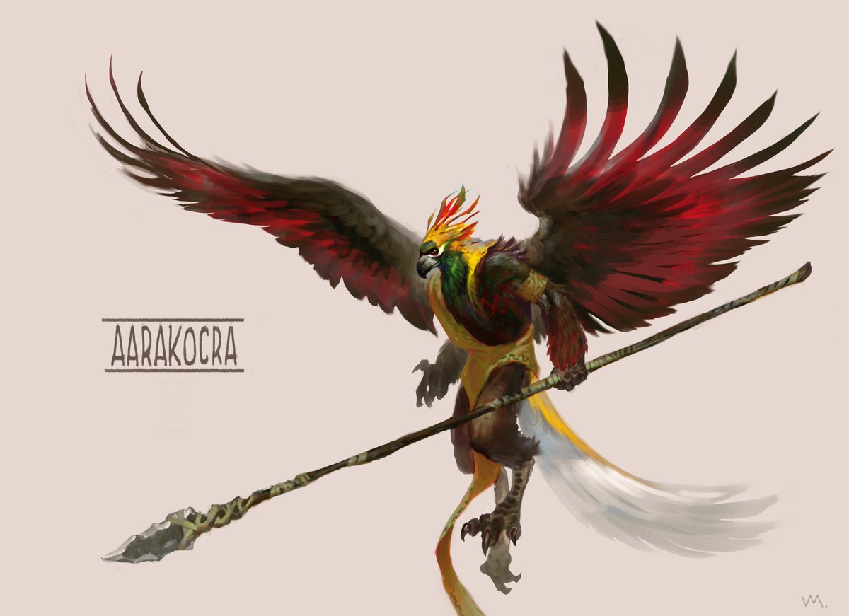Knight of Hammer Aarakocra