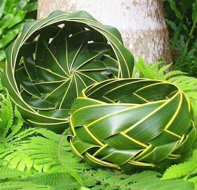 Manfaat Daun Kelapa Untuk Kehidupan Sehari-hari dan Penghasilan Tambahan