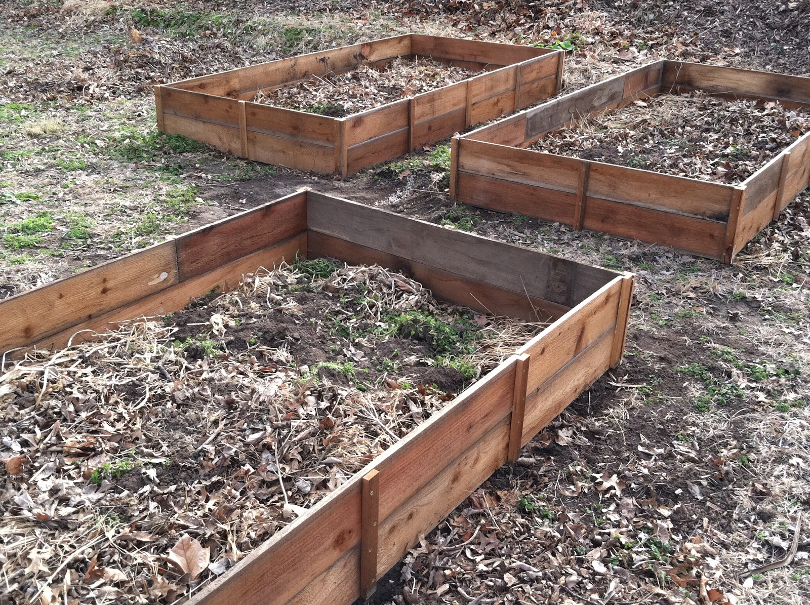 German Jello Salad Cedar Raised Beds I'm finally posting about those