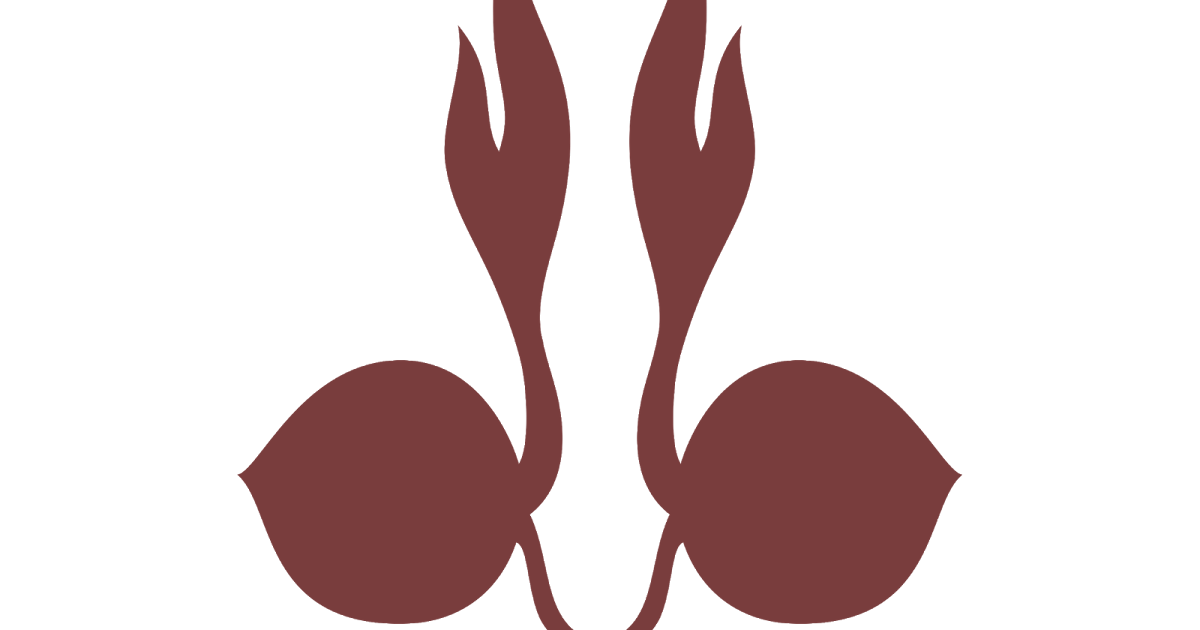 Logo Pramuka Tunas Kelapa Free Vector Logos & Design