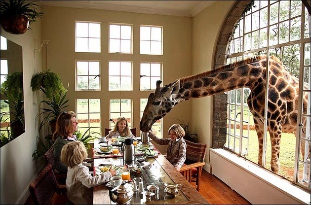 Giraffe Manor in Nairobi, Kenya-1