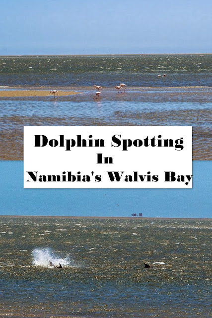 Walvis Bay Namibia | Walvis Bay Flamingos and Dolphins on Walvis Bay Port