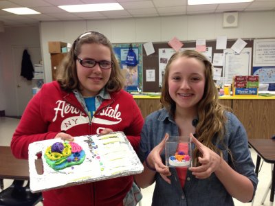 Animal Cell Project Ideas Middle School Traffic Club