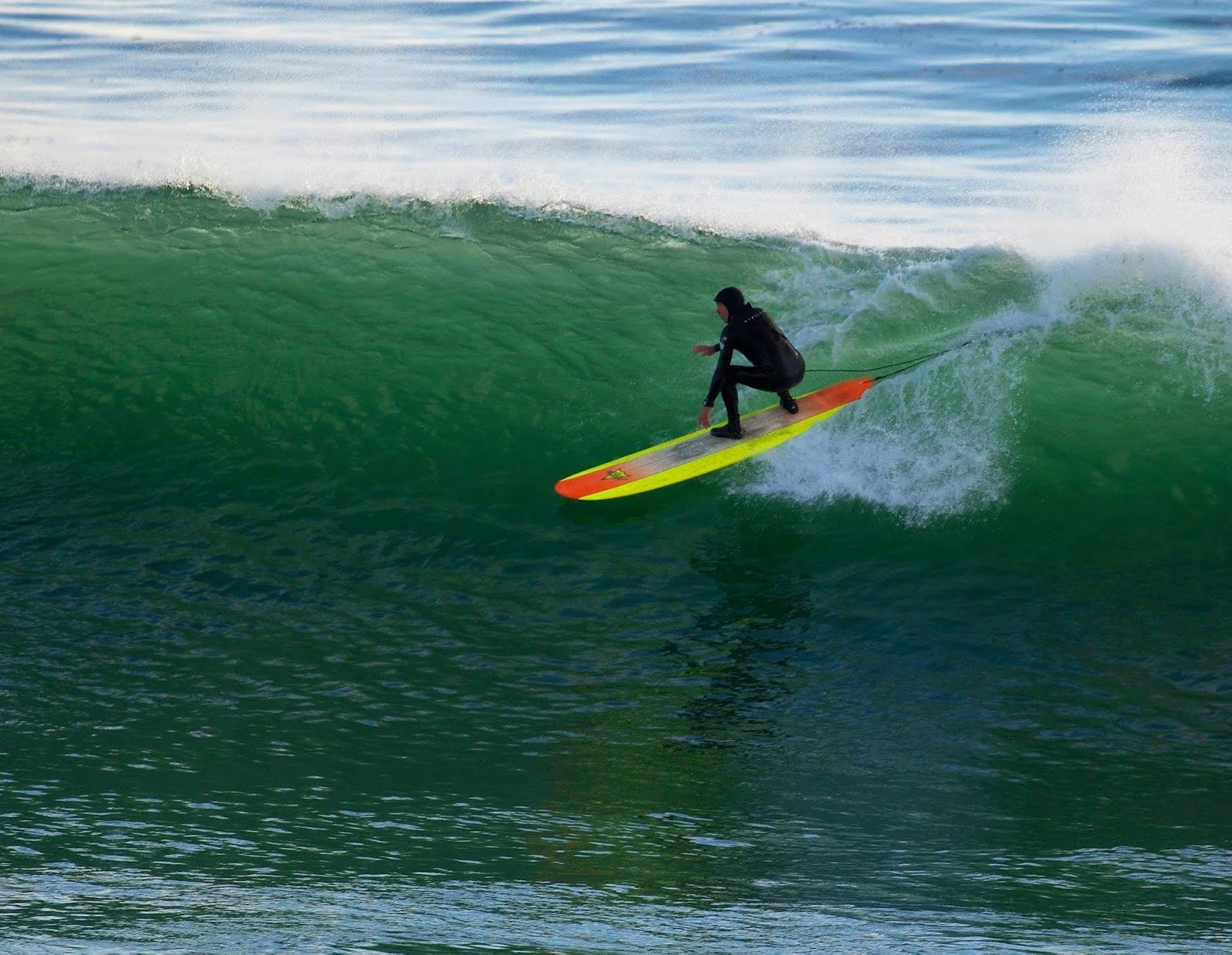 Forestdweller Steamer Lane