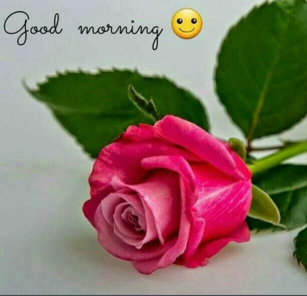 good morning sms with love