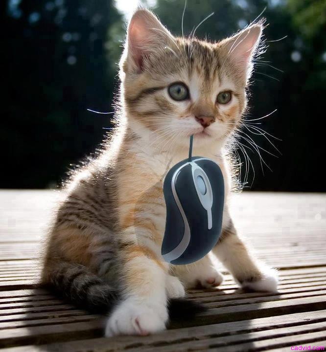 The Patent Legacy of the Computer Mouse - The IPKat