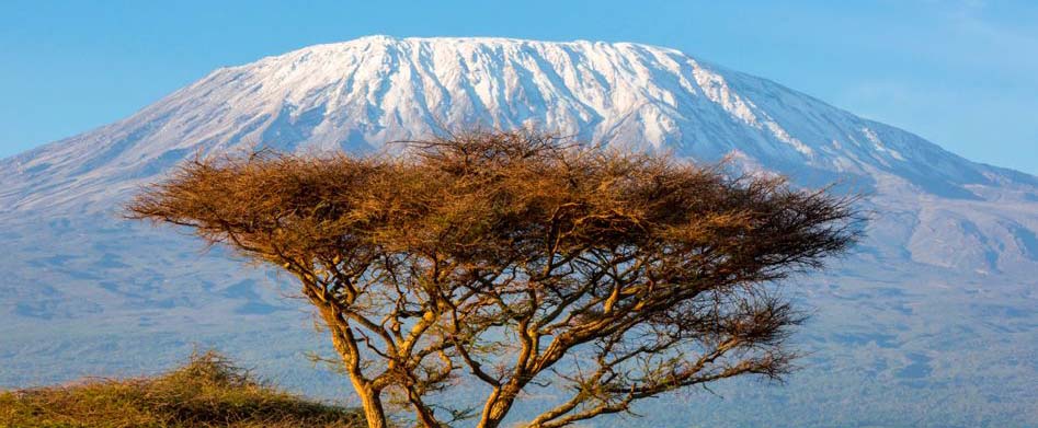 Kilimanjaro