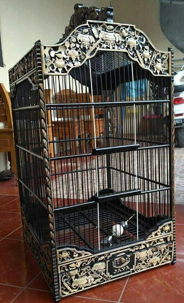 Daftar Harga Terbaru Sangkar Burung Kacer Minimalis 2018