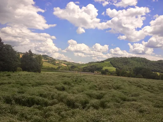 Now THAT'S ingenuity