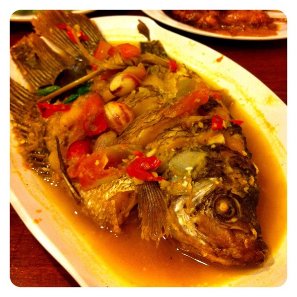 Ikan Gurame