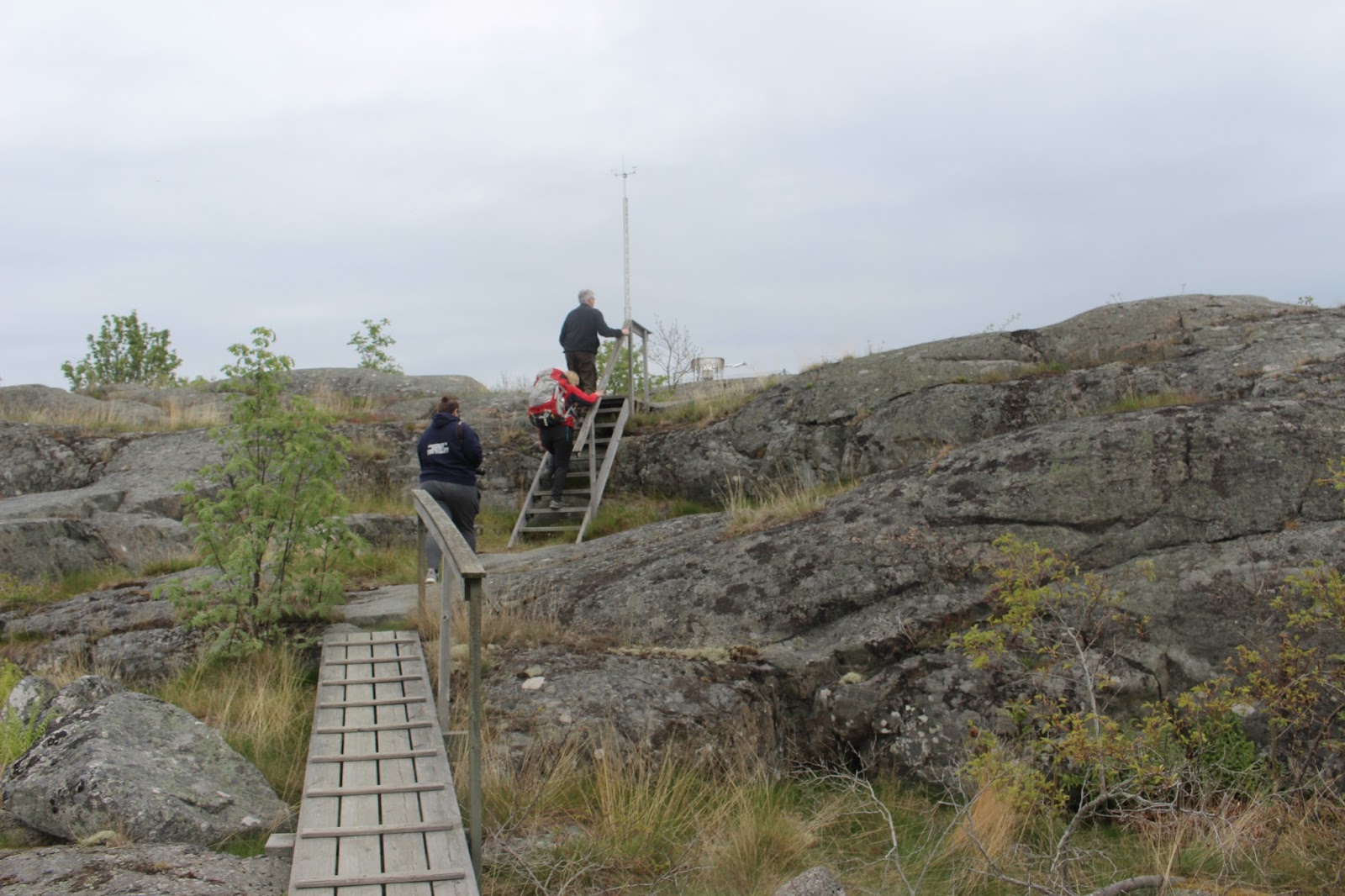 Team Vildmark Landsort Öja