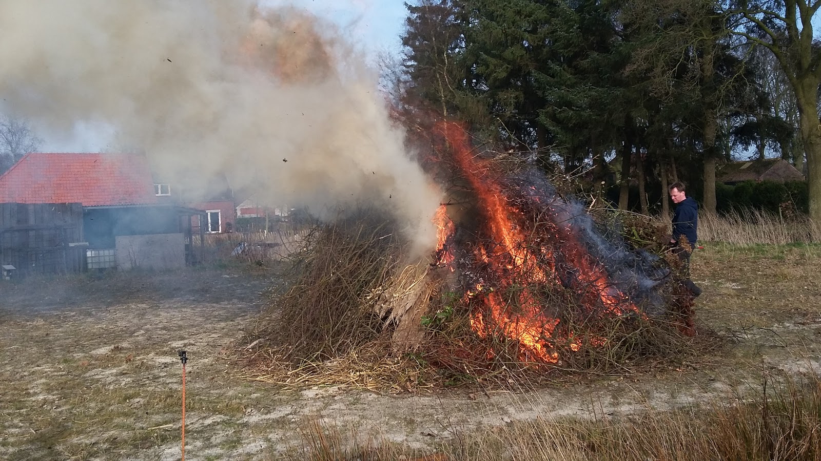 Wiesmoor Info Marz 2016