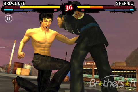 bruce lee fighting game