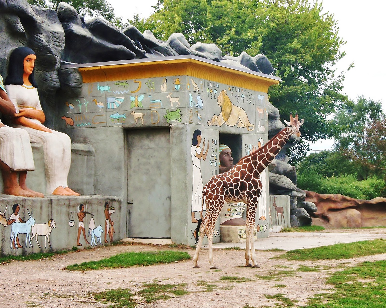 An Aunt's Life My Favorite Places Detroit Zoo