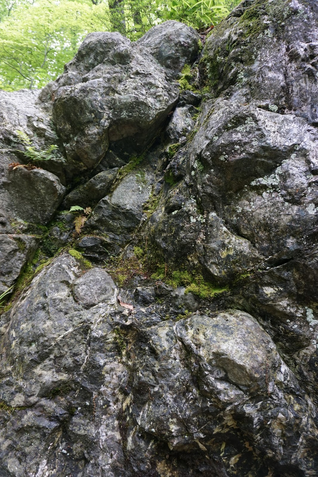 Harriman Hiker Harriman State Park and Beyond Montville Serpentine